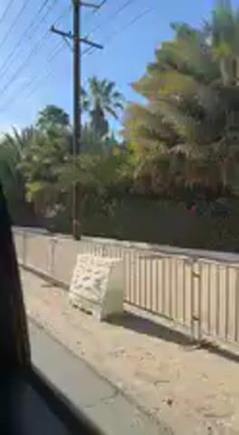 This video captures a daytime view from the window of a moving vehicle, likely a car. The scene is brightly lit under a clear blue sky, indicating sunny weather.

The primary subjects in view are the outdoor environment. On the left, a portion of the car's window frame is visible. A light-colored fence or low wall, possibly made of concrete or wood, runs parallel to the direction of travel. Behind this fence, there is a stretch of dirt or gravel.

Beyond the fence and dirt, the landscape is characterized by abundant green vegetation. Numerous trees and shrubs, including tall palm trees, are prominent. At one point, some plants with bright red flowers (possibly bougainvillea) can be seen among the greenery. Further in the background, the vegetation appears as a dense green wall. Overhead, multiple power lines crisscross the blue sky, supported by at least one tall utility pole visible early in the video.

The activity taking place is the filming from a moving vehicle, suggesting a journey or drive. No specific people are visible, nor is any discernible text. The overall setting appears to be a warm, possibly suburban or semi-rural area with a distinctly tropical or arid climate, given the presence of palm trees and the bright sunshine.