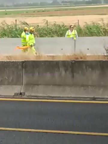 The video shows an outdoor scene with two individuals. One person, wearing a bright yellow high-visibility jacket and helmet, is holding an orange traffic cone. They appear to be walking or standing near a concrete barrier. Another person, also in a yellow high-visibility vest, is standing behind the concrete barrier, looking in the same direction as the first individual.

The setting appears to be a roadside, possibly a highway or a large road, given the concrete barrier and the asphalt road surface visible in the foreground. Beyond the barrier, there is a dry, grassy field with some vegetation and trees in the distance. The sky is overcast, suggesting a cloudy or possibly rainy day.

The activity taking place seems to be related to traffic management or road work, with the individuals in high-visibility gear and the presence of a traffic cone. The exact nature of their task is not clear, but they appear to be working or directing something.

There is no visible text in the video. The time of day is difficult to determine precisely due to the overcast conditions, but it appears to be daytime. The overall mood is neutral, focused on the task at hand. The location context provided places the scene in Castel San Pietro Terme, Italy.