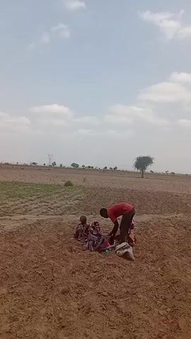 This media file captures a scene in Jurara, Nigeria. The primary subjects are three individuals engaged in agricultural work in a field. One person, wearing a red shirt, is actively handling something on the ground, possibly planting or harvesting. Two other individuals, seated and covered in colorful fabrics, appear to be assisting or waiting. The surrounding environment is a rural landscape characterized by cultivated fields and dry soil.

The activity appears to be manual labor related to farming. The time of day is likely daytime, suggested by the bright sky. The weather seems fair with scattered clouds. The location is clearly rural, with distant trees and power lines indicating a sparsely populated area. The overall mood conveyed is one of purposeful work and simple living. There is no visible text in the media file.