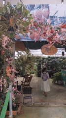 Garden cafe documented in Lạc Dương, Vietnam morning visit
