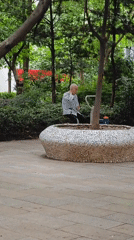 Elderly man rests on tree platform in Yuzhong District