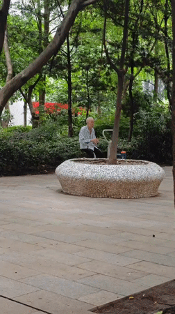 Elderly man rests on tree platform in Yuzhong District