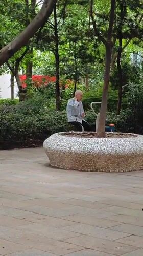 Elderly man rests on tree platform in Yuzhong District