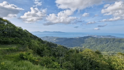 Tourist captures Ko Samui ocean views, interacts with sheep