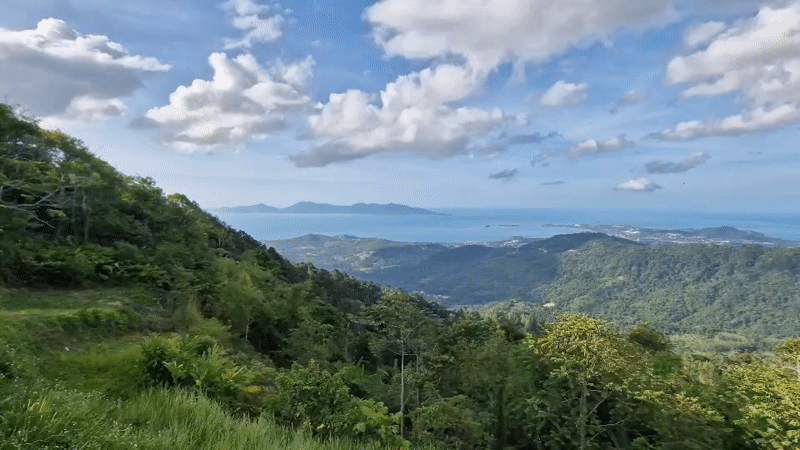 Tourist captures Ko Samui ocean views, interacts with sheep