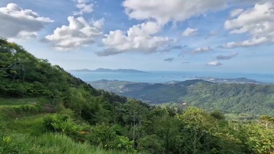 Tourist captures Ko Samui ocean views, interacts with sheep