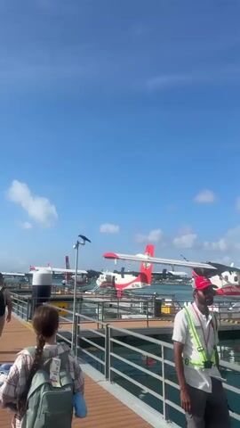 A vertical video shows a person wearing a backpack with their back to the camera walking on a wooden pier. Several seaplanes are docked in the background. The seaplanes are white with red accents and have the words "TRANS MALDIVIAN AIRWAYS" written on them. The sky is blue with some clouds. A bird is perched on a light pole on the pier.