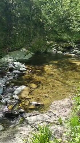 Stone shrine observed beside stream in Hrabrino, Bulgaria