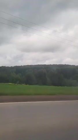 The video shows a view from a moving vehicle, looking out at a road and the landscape beside it. In the foreground, there's a paved road, possibly a highway or rural road, with a blurry and out-of-focus surface. Beyond the road, there's a strip of green grass, some of which has yellow flowers, suggesting a field or meadow. In the mid-ground, a dense line of trees forms a dark green forest that stretches across the horizon. Above the trees, the sky is overcast with gray clouds. Utility poles and power lines are visible at various points alongside the road and against the backdrop of the trees. The overall impression is a scenic drive through a natural environment on a cloudy day.