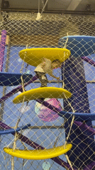Family enjoys afternoon at indoor playground in Sochi