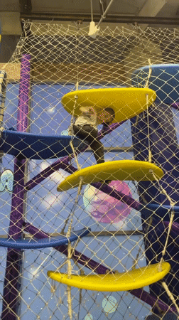 Family enjoys afternoon at indoor playground in Sochi