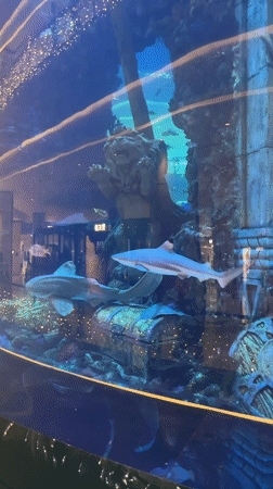 Inside a themed aquarium in Liangjiang, Chongqing