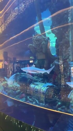 Inside a themed aquarium in Liangjiang, Chongqing