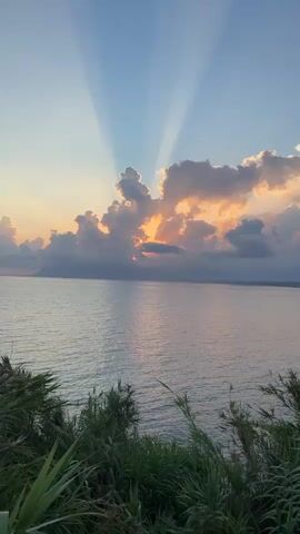 A serene sunset over the ocean is captured from a high vantage point, with lush green foliage in the foreground. The sun is partially obscured by dramatic clouds, casting visible rays of light, known as crepuscular rays, across the pale blue sky. The ocean surface is calm, reflecting the soft hues of the sunset. The horizon is visible in the distance, where the sky meets the sea. The overall atmosphere is peaceful and tranquil, conveying the beauty of nature at dusk.
