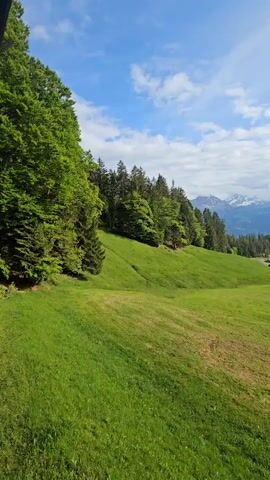 Here is a detailed description of the video:

The video shows a scenic view of a green, grassy landscape with trees, distant mountains, and a partially cloudy sky. The camera appears to be stationary, capturing the natural beauty of the location. 

In the foreground, a lush green field slopes gently upward. Patches of darker soil are visible, suggesting recent activity, possibly from grazing or agricultural use. To the left, a dense cluster of tall green trees forms a natural border. The trees are varied in type, including both deciduous and evergreen varieties. Further back, the hillside is lined with more trees, leading towards the horizon. 

In the distance, a range of mountains is visible. Some of the peaks are covered with snow. The sky above is a mix of blue and white clouds, suggesting a pleasant day with scattered cloud cover.

There are small buildings visible in the distance along the right side of the frame. They are of a simple design and blend in with the surrounding landscape.