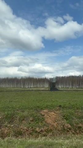The video shows a view of a field and a birch forest against a background of a blue sky with clouds. The field is green with some brown patches. A narrow paved road leads into the forest. In the foreground, a gray fence is visible on the left side of the frame. There is an audio of a child saying "birch forest."