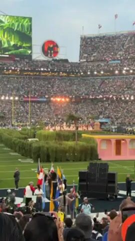 The video shows a stadium filled with people. There is a performance area on the field with bushes and a small pink building. Several people are holding flags of different countries. A large screen displays a video feed of what is happening on the field. There are also speakers on the field. People in the crowd are holding up their phones to record.