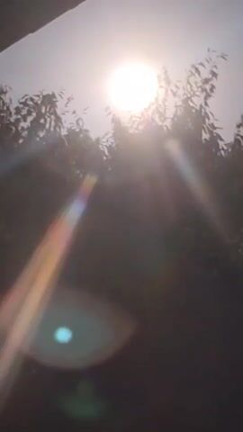 The video shows a bright sun shining through the leaves of trees. The sun is partially obscured by the foliage, creating rays of light that spread across the frame. There are lens flares visible, including a prominent blueish-green one in the lower part of the image. The sky appears hazy or overcast, which might be contributing to the diffused sunlight. The perspective is looking upwards towards the sky and the sun.