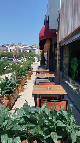 The video shows an outdoor cafe seating area on a sunny day with a clear blue sky. A row of dark-framed tables with wooden tops and chairs with orange-brown upholstery are arranged along the side of a building, covered by a red awning. Each table has a small ashtray. A series of wooden planters filled with various green plants, including small palm trees, lines the edge of the seating area, separating it from a sidewalk. Beyond the sidewalk, a parking lot or street is visible with several parked cars and distant buildings. A woman wearing a light-colored long dress and a headscarf walks from the background towards the foreground, passing behind the line of potted plants. The camera remains static throughout the video, providing a slightly low-angle view of the scene.