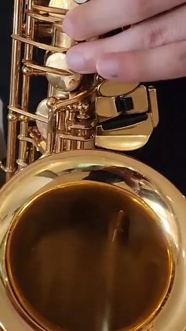 A close-up, vertical shot shows a person's hands playing a brass saxophone. The hands are visible from the knuckles to the fingertips and are positioned over the keys of the instrument. The fingers are pressing down on the keys, producing musical notes. The saxophone is shiny and golden, with intricate mechanisms and keys. The background is dark, suggesting an indoor setting. The audio consists of the sounds of the saxophone being played, with a distinct melody. The video appears to be a demonstration of saxophone playing or a snippet of a musical performance.