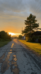 Golden hour along a quiet rural road in Pivkino, Russia