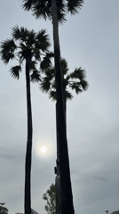 Overcast morning at Karon Beach — streets, surf, and palms