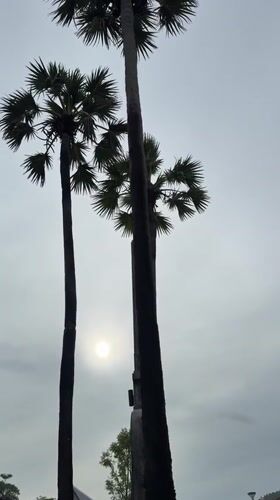 Overcast morning at Karon Beach — streets, surf, and palms
