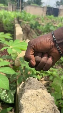 A hand, wrist adorned with a black, braided bracelet, opens from a fist to point a finger downward at a light gray concrete block. The setting appears to be an overgrown garden with green plants and vegetation visible. A partially constructed or dismantled wall of similar concrete blocks stretches into the background. In the distant background, a building can be seen partially obscured by trees. The sky is overcast.