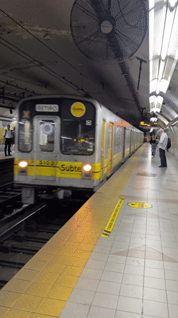 Cobblestone street with parked cars documented in Buenos Aires
