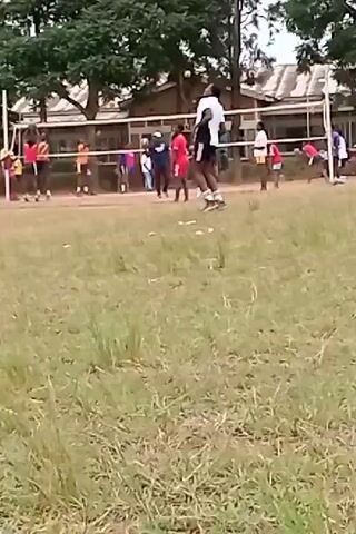 The video shows a volleyball game in progress outdoors. There are two teams, one in red shirts and the other in blue/black shirts. The players are spread around a volleyball net on a grassy field.  Buildings and trees are visible in the background. Players are in various poses, indicating they are actively playing the game, hitting and moving towards the ball. The camera appears relatively still, capturing the ongoing action.