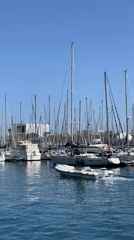 Vintage market operates alongside Barcelona marina with maritime activity