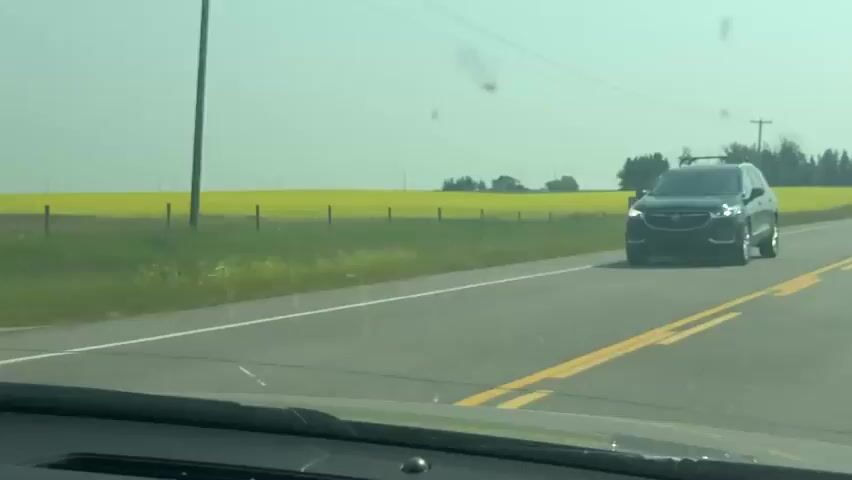 A vehicle is driving on a paved road. The road has a white dashed line on the left and double yellow lines on the right. The vehicle is in the left lane, traveling forward. To the left of the road is a vast field of bright yellow flowers, likely canola. Beyond the field, there are some scattered trees and buildings. Telephone poles and wires are visible against a hazy, light green sky. In the distance, another car is visible traveling in the same direction as the camera vehicle, in the right lane. There are several blurry spots on the windshield, obscuring parts of the view.