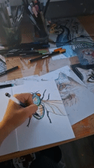 Fly illustration in progress, kitten keeps interfering