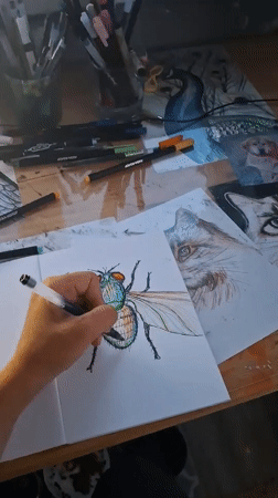 Fly illustration in progress, kitten keeps interfering