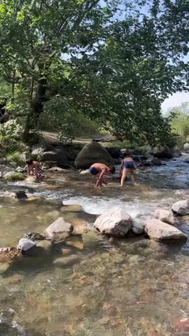 Three young boys are in a shallow, rocky river on a sunny day. The boy on the left is partially submerged in the water, appearing to be looking at something on the riverbed. The two boys in the center are standing in the water, facing away from the camera, and appear to be engaged in an activity. The boy on the right is reaching down towards the water. Large trees with green leaves provide shade over the river. The water is clear, revealing the rocky bottom.