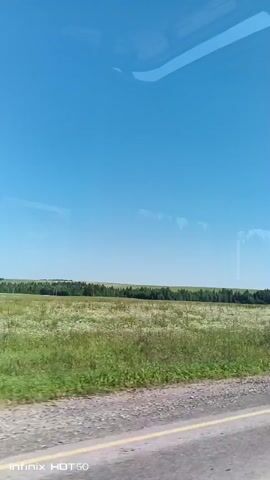 The video is a first-person perspective recording from a moving vehicle. The viewer looks out of a window at a bright blue sky and a vast, green field dotted with white flowers. A dark, tree-lined horizon stretches across the middle ground. The foreground shows the edge of a road, which appears to be made of gravel and asphalt. The recording is dated 2024-01-05. The bottom of the screen displays the text "Infinix HOT50." The light indicates it is daytime, likely a clear and sunny day.