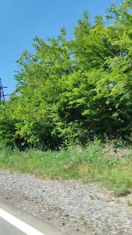 A high-angle view from a vehicle shows a vibrant green natural landscape on a sunny day. The camera moves forward, capturing green plants and tall trees with lush foliage on the right side of the road. A white solid line is visible at the bottom left of the frame. In the distance, a large electricity pylon can be seen against the clear blue sky. The video has rapid, jerky motion and is in portrait orientation.