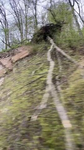 The video shows a close-up of a rocky hillside from a moving vehicle. The hillside is composed of layered rock formations, and sparse green vegetation is visible on the lower part. Above the rock face, there are bare trees with few leaves, suggesting it might be early spring or late fall. Music is audible.