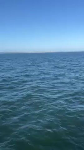 The video shows a body of water, possibly an ocean or a large bay, under a clear blue sky. In the distance, a faint line of land is visible, possibly a coastline or an island. The water is calm with small ripples on the surface. There are no visible people or objects in the immediate view of the water.