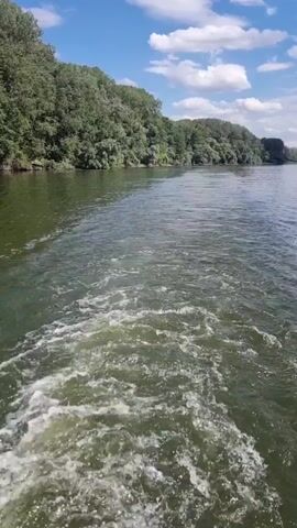 The video shows a view from a boat moving through a body of water. The camera is pointed backward, showing the wake of the boat. On either side of the water, there are dense green trees lining the shore, creating a natural landscape. The sky above is blue with scattered white clouds. The water is a murky green, with white foamy streaks from the boat's passage. The sun appears to be shining, creating dappled light on the water. The overall impression is a peaceful scenic journey on a river or lake.