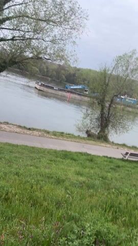 The video shows a wide river with a barge on it. The barge is gray and rectangular with some equipment on top. There is a red and white pole in the water near the barge.  The river is bordered by a grassy bank and a paved path. There are trees on the bank and on the opposite side of the river. The sky is overcast. The camera moves, focusing on the barge and then on the grass. There is an indiscernible voice speaking in the background.
