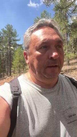 A medium shot shows a man with graying hair and a gray t-shirt standing outdoors. He is wearing a black backpack. The background is a forest with tall trees and a blue sky with clouds. The man is looking to his right with his mouth slightly open. The lighting suggests it is daytime.