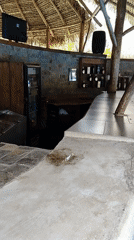 Tropical pool complex documented in Marta, Venezuela