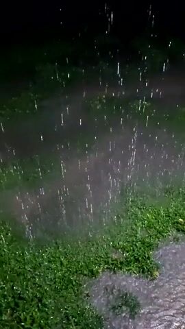 The video depicts a heavy rainstorm at night. Raindrops are visible as streaks of light against the dark background, falling onto a flooded grassy area. The ground is covered in water, with puddles forming among the green grass. The light source illuminating the rain is unclear, but it provides enough visibility to observe the downpour and the resulting water accumulation.