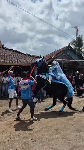 A group of men in blue and white shirts are holding ropes attached to a black horse-like costume. A person in a light blue outfit is seated on top of the costume. The horse costume is standing on its hind legs. The event appears to be a parade or cultural performance in a village setting, with spectators visible in the background. The ground is dirt and there are traditional Indonesian houses in the background. The sky is cloudy.