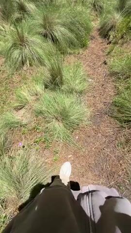 The video begins with a first-person view looking down at a dirt path covered in pine needles, with tall, lush green grass on either side. The camera then pans up and to the left, revealing a person walking away from the camera down the path. The person is wearing a white t-shirt, light-colored pants, and white sneakers. To the left of the path, nestled amongst the trees and grass, is a rustic wooden cabin with a red roof and a white deck. The cabin is situated on a slope, and there appears to be a small stream or water feature to the left of the cabin. The path continues towards the cabin, which is surrounded by a dense forest of tall pine trees. The sky is bright blue with a few scattered clouds, indicating a sunny day. The camera follows the person as they walk further down the path, approaching the cabin. The video ends with a clear view of the cabin and the surrounding forest.