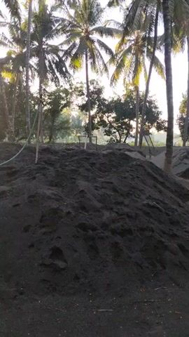 A person is filling a dump truck with soil using a wheelbarrow and a hose. The truck is yellow and has a red light on top. There are several large piles of soil in the background. The scene is outdoors, with many palm trees and other vegetation. The sun is shining, creating long shadows.