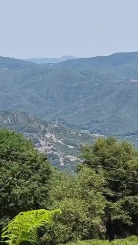 The video shows a pan of a hilly, green landscape with some trees in the foreground. The sky is clear and pale blue. The landscape appears to be mountainous, with layers of hills stretching into the distance. There are some visible signs of human activity, such as what appear to be roads or paths winding through the hills, and some patches of cultivated land. The trees in the foreground are lush and green, suggesting a temperate climate during warmer months. There are no people or animals visible in the video. The camera pans slowly from left to right, offering a panoramic view of the scenery.