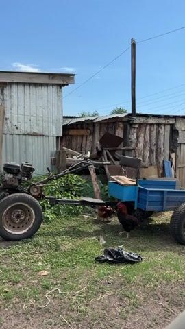 The video shows a rural backyard scene on a sunny day. A homemade tractor with a small trailer attached is parked on a grassy area. The tractor has a visible engine and a single tire on one side. The trailer is blue and has four wheels. A rooster is seen walking around near the trailer, pecking at the ground. In the background, there's a metal shed on the left and a dilapidated wooden structure filled with cluttered items on the right. An overhead power line is also visible against the blue sky. There is a black trash bag laying on the grass. The overall environment suggests a countryside or farm setting with a slightly unkempt appearance.