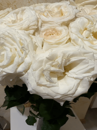 White rose bouquet documented by witnesses in brief moment